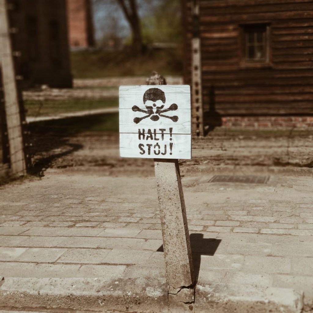 WhatsApp Image 2018-04-27 at 22.31.37 (1)